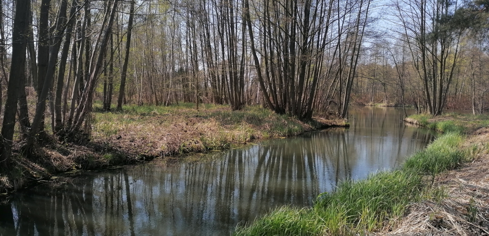 Viel Mystik, viel Wasser: Spreewaldfließ im Frühjahr. Foto: Dörthe Ziemer