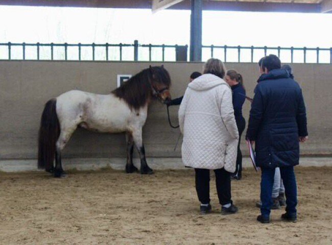 650x480-crop-90-solon_vom_idablick_whrend_der_beurteilung