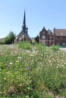 Blick aufs Gebäude von der gegenüberliegenden Naturoase 