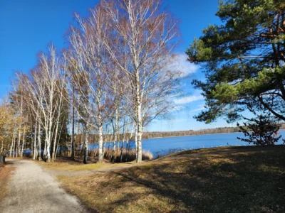 Rundweg am See