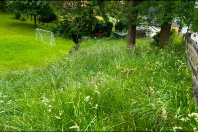 Grünfläche Lindenau Grünfläche Lindenau