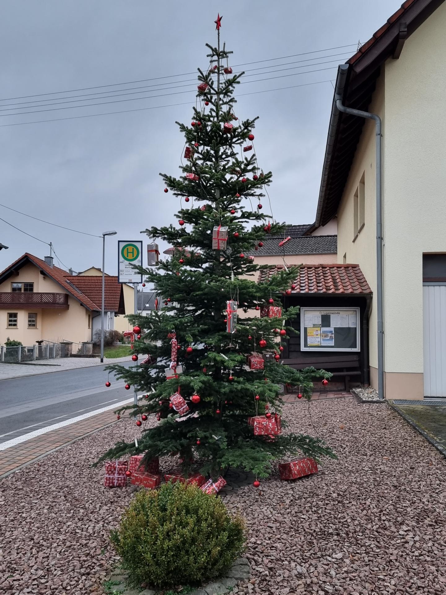 Unser Weihnachtsbaum 2021