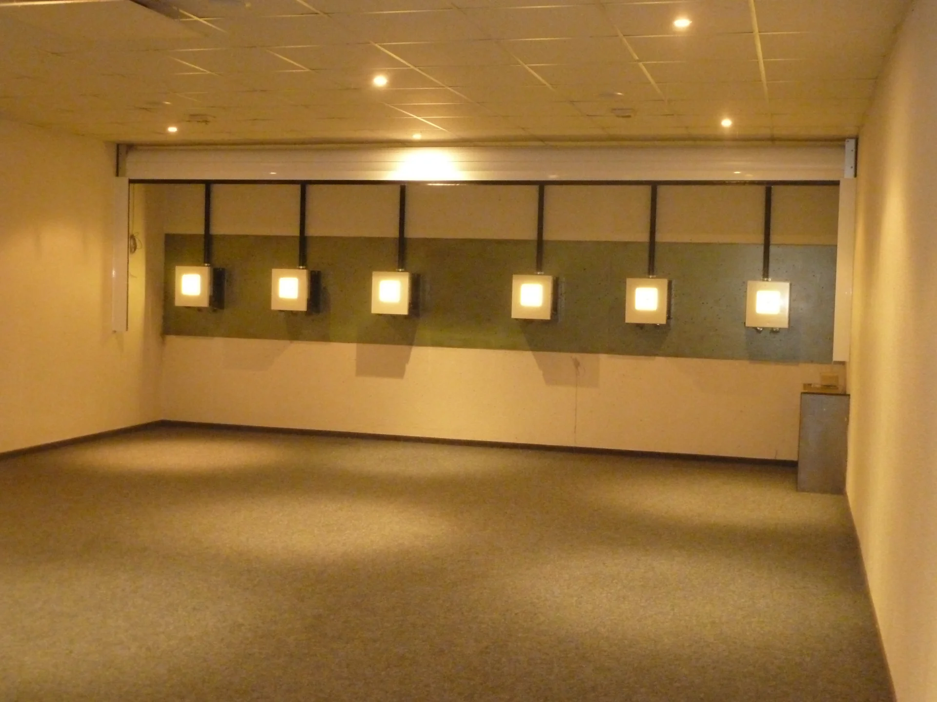 Elektronische Luftgewehranlage