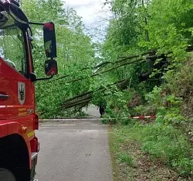 Bäume auf Fahrbahn im Muldental am 01.05.2024