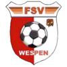 FSV_Wespen