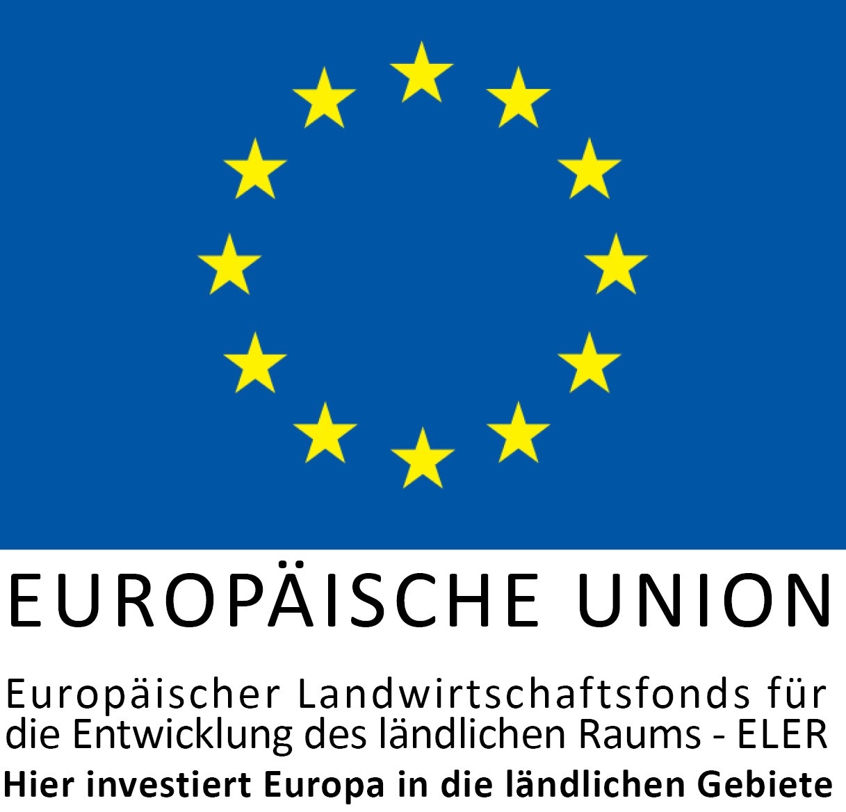 EU Logo Hier investiert