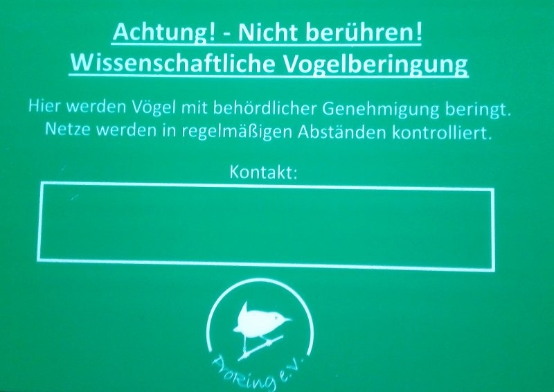 Infoschild