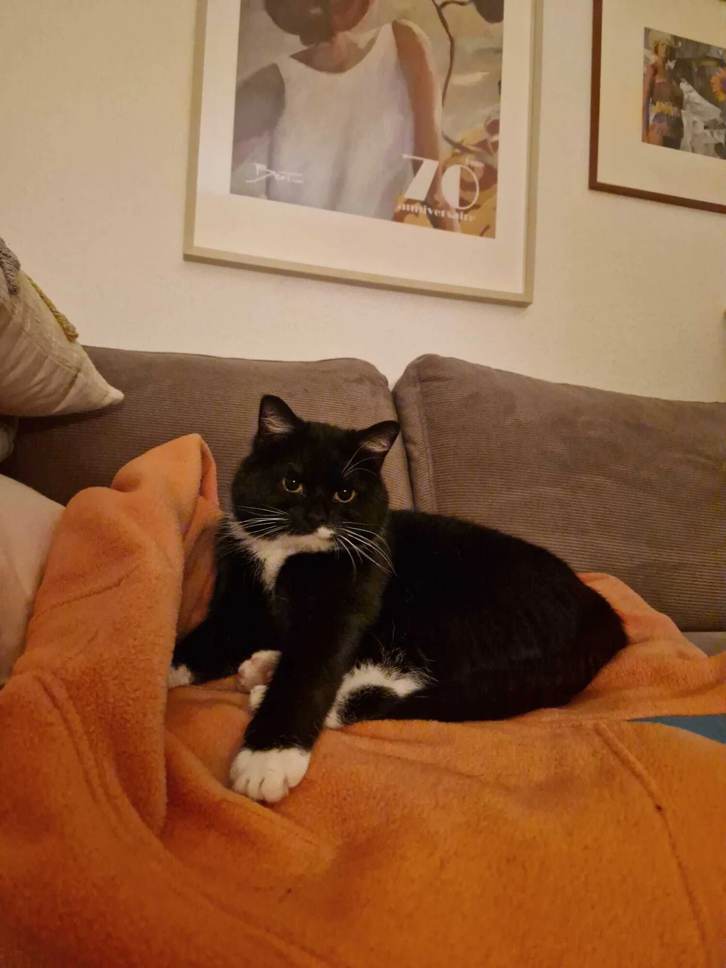 Hugo