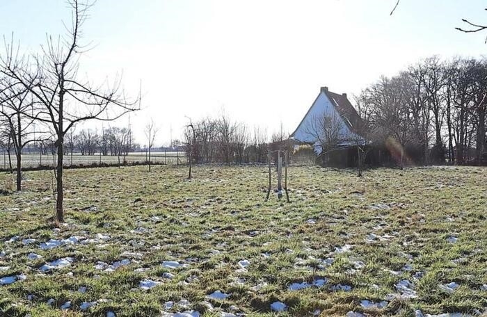 streuobstwiese 05.03.2025