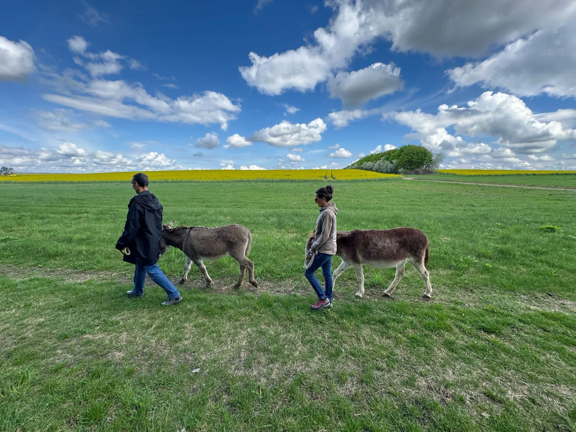 Wanderung