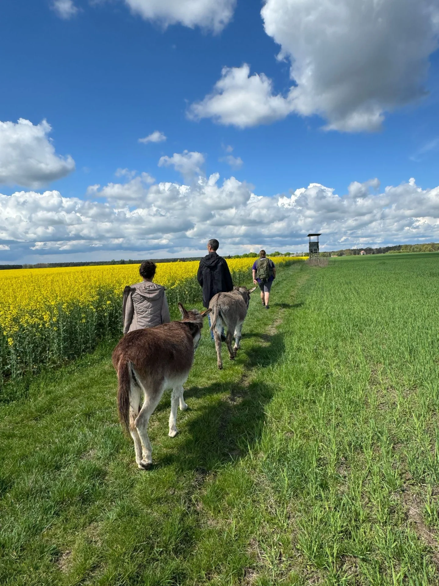 Wanderung