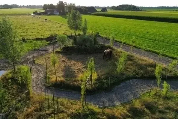 Ein Weidetrail – hier für Pferde – bringt Bewegung und Abwechslung