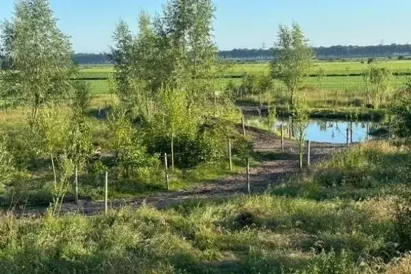 Ein Weidetrail – hier für Pferde – bringt Bewegung und Abwechslung