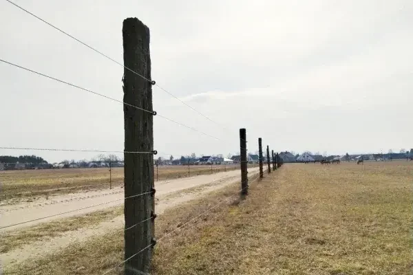 Zaunpfosten müssen stabil und witterungsbeständig sein sowie sicher im Boden verankert werden