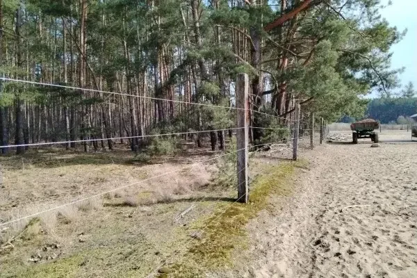 Ein Beispiel für einen sicheren und tiergerechten Zaun
