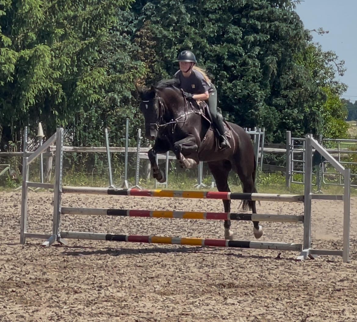 Fiona mit Stakkaria