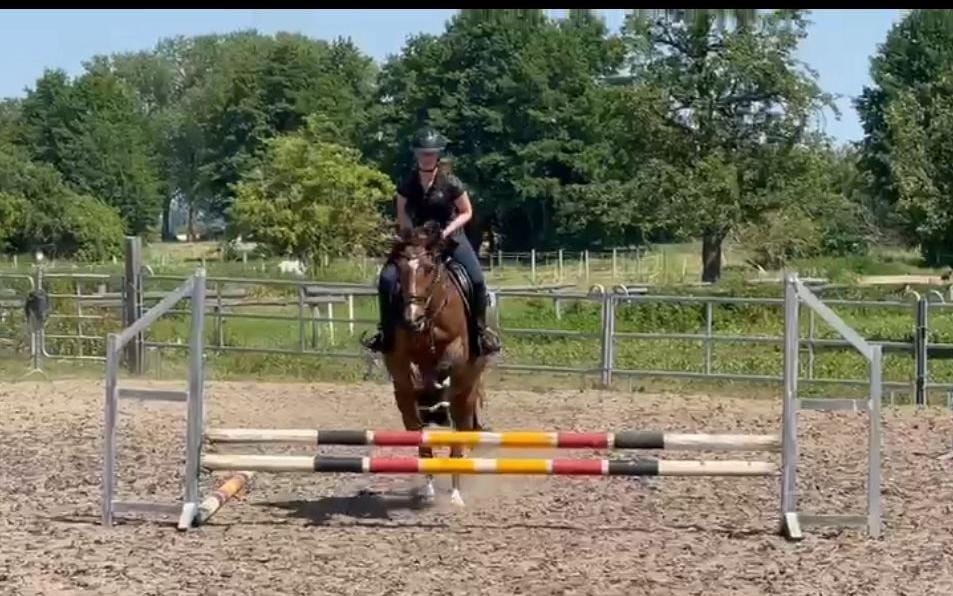 Lieselotte mit louisiana
