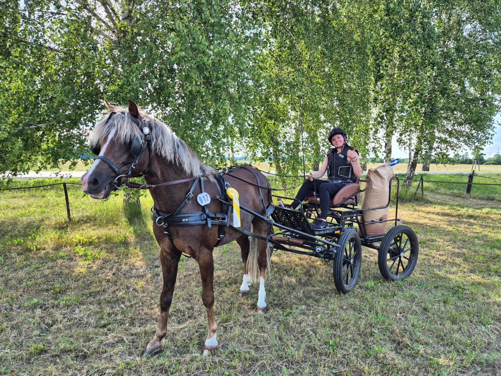 Siegerpony