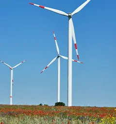 windraeder