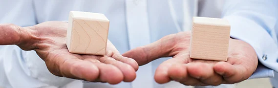 businessmen-with-cubes-palms