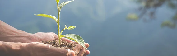 environmental-conservation-garden-children