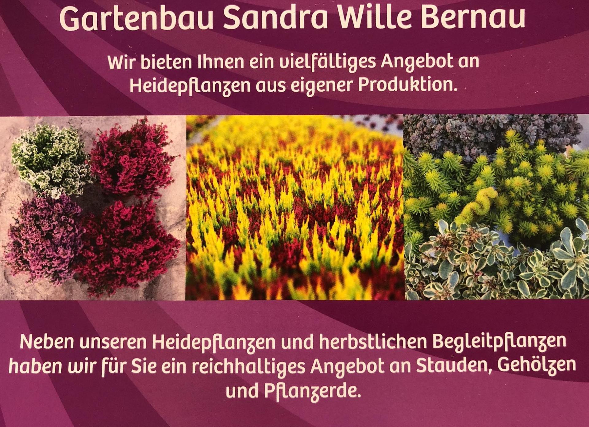 Gartenbau Sandra Wille Bernau