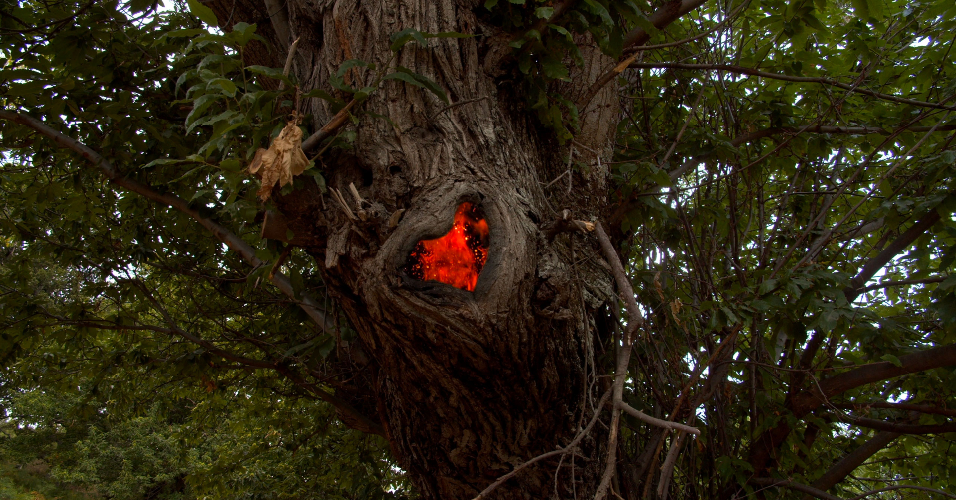 Il faut regarder le feu où brûler dedans l You Can Watch the Fire or Burn Inside