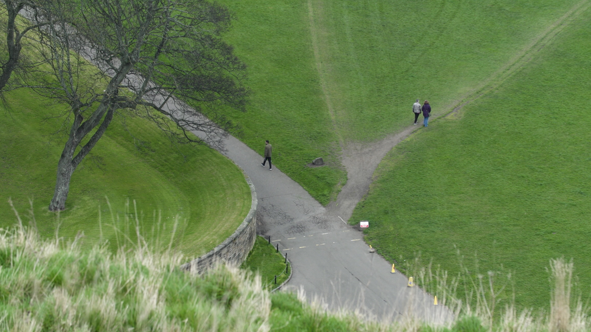 Desire Lines