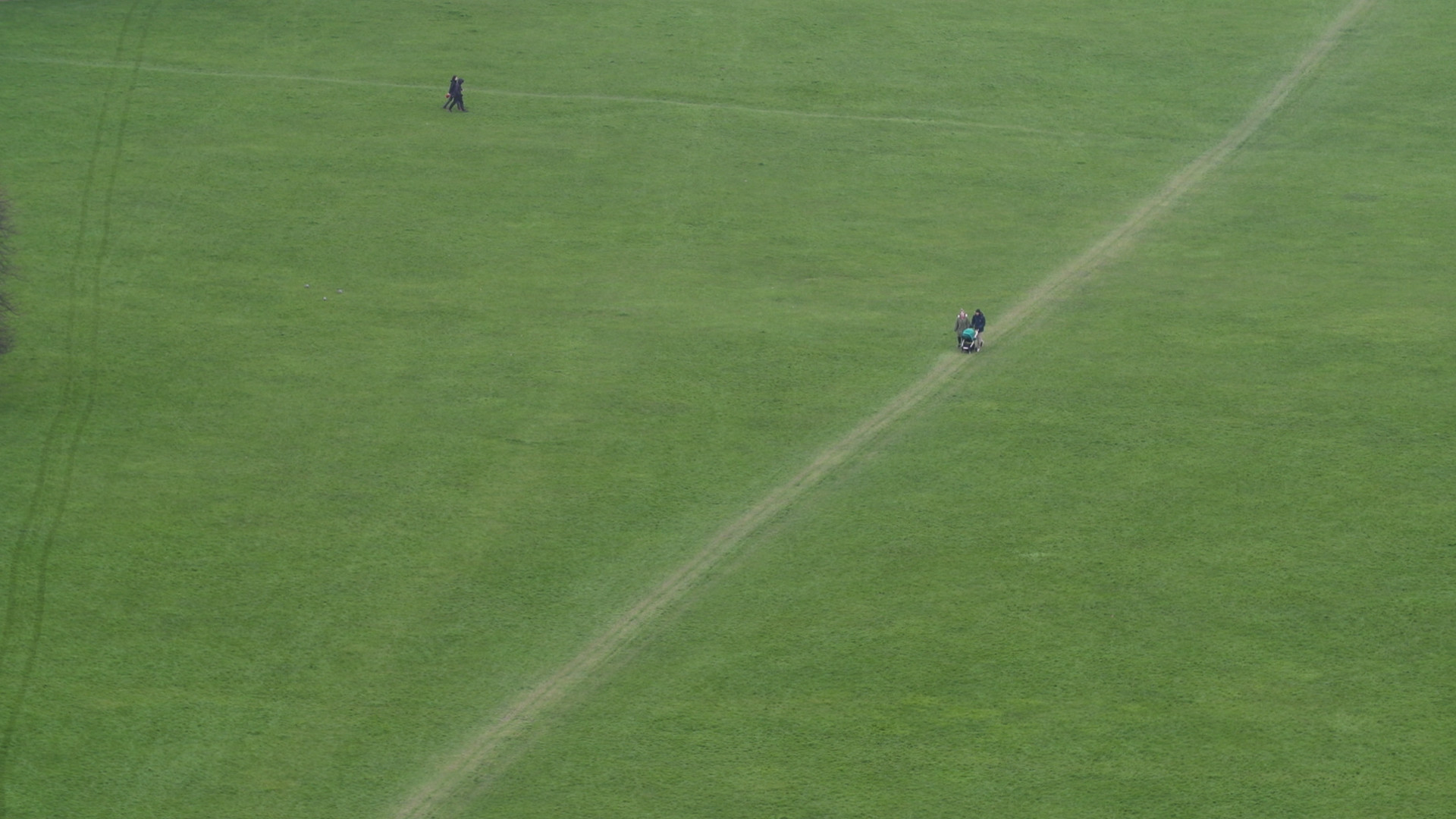 Desire Lines