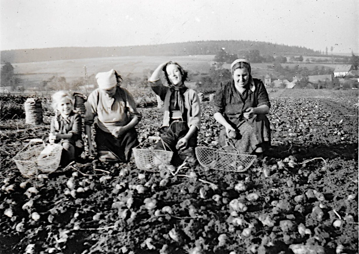 Frauen auf Auflesen