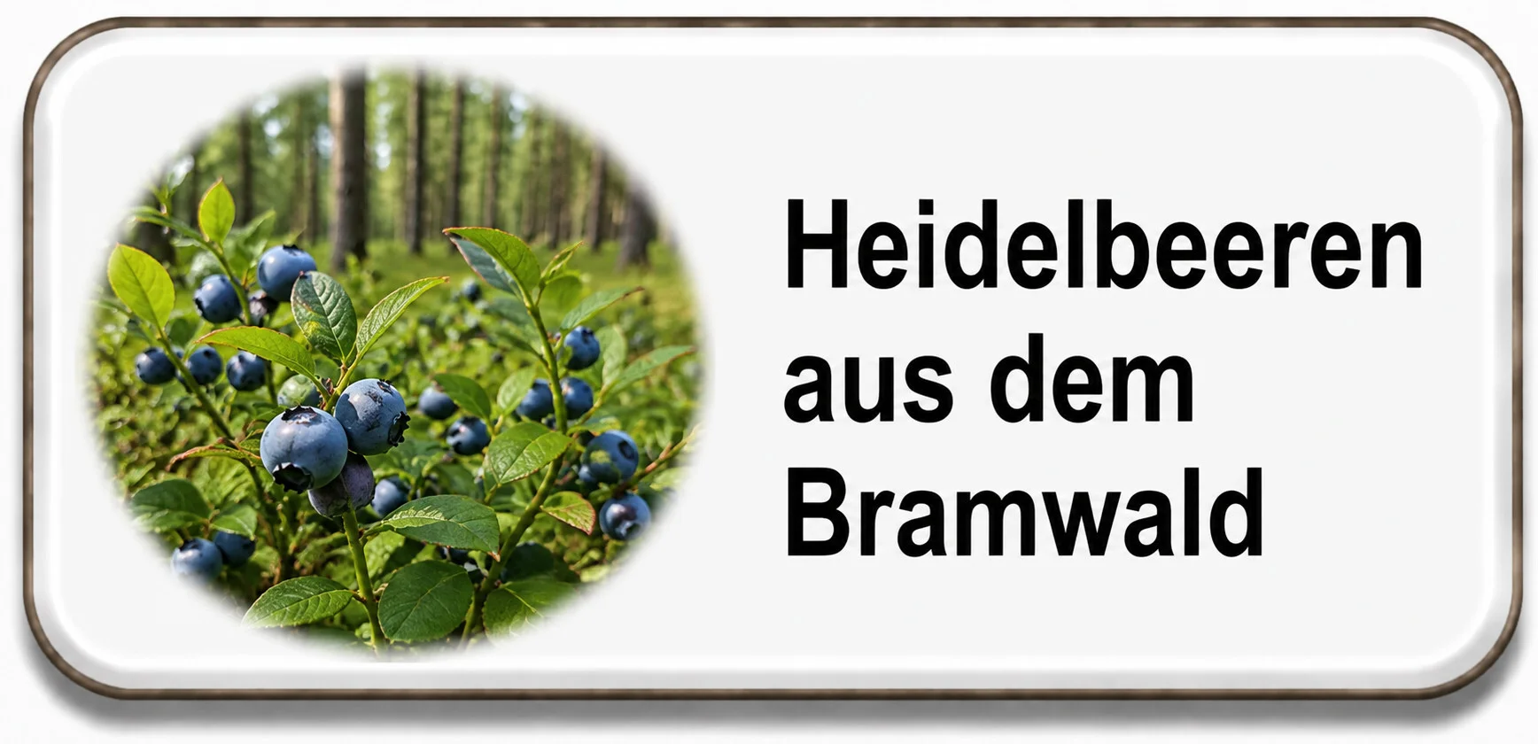 Heidelbeeren aus dem Bramwald