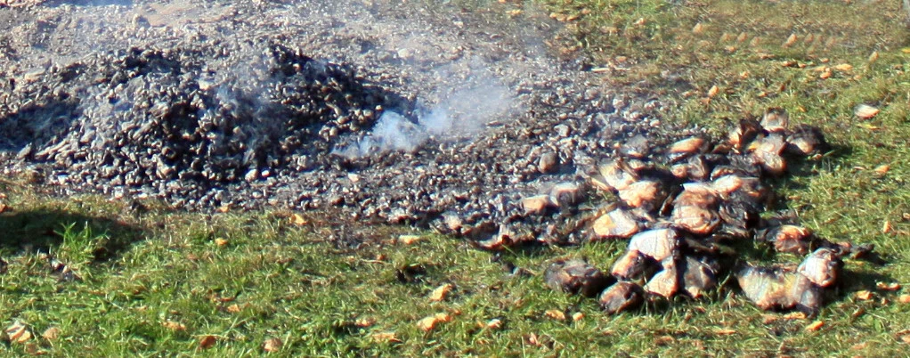 Kartoffelfeuer