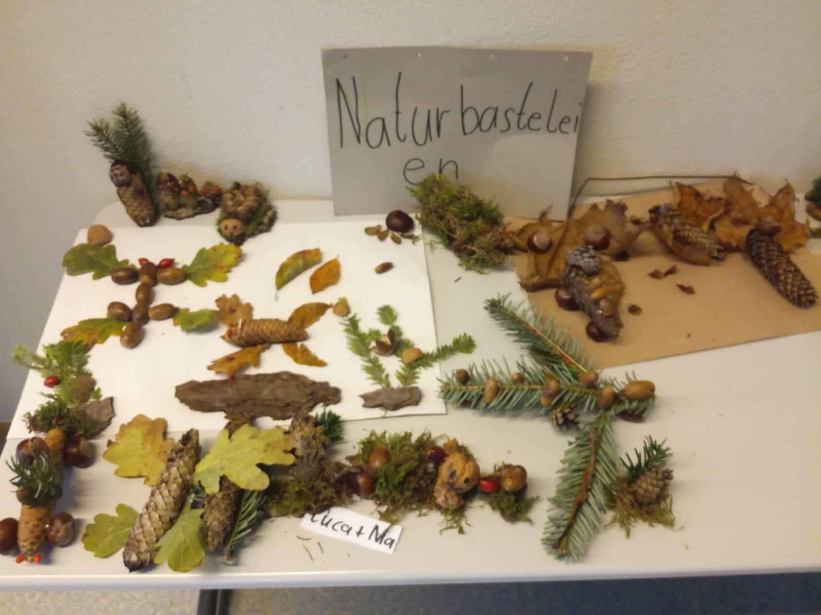 Naturmaterialien_4. Klasse