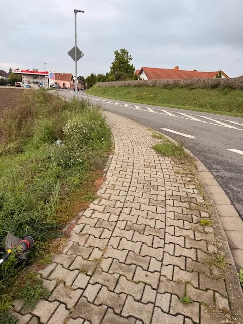 2. Bürgersteigaktion_11