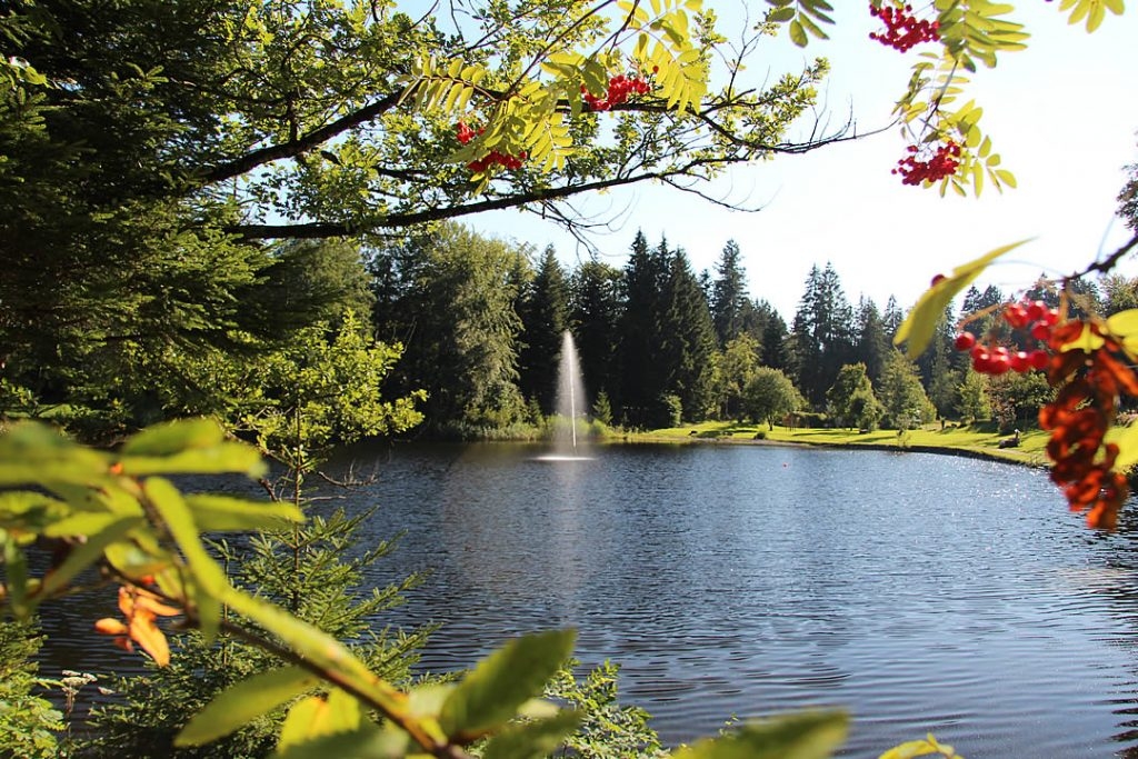 Waldbad Camping