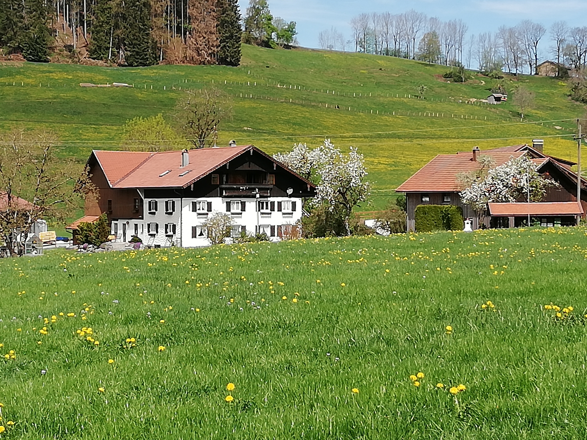 Ferienwohnung Bergblick