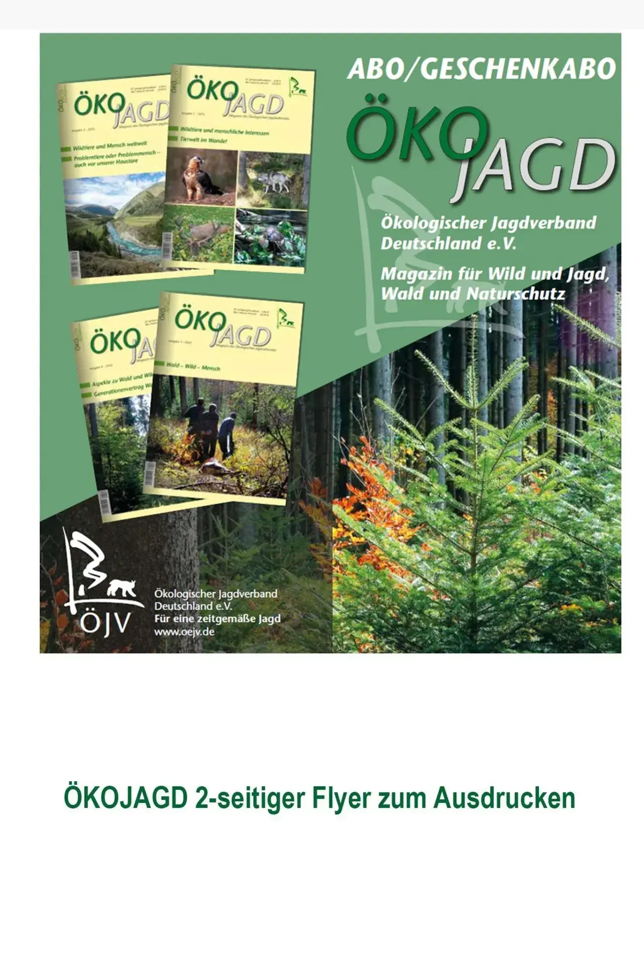 ÖKOJAGDFLYER