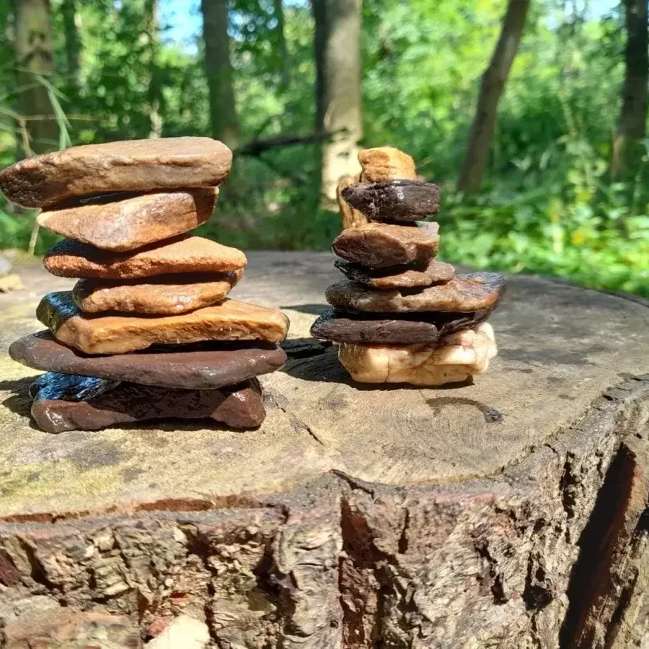 Flow-Learning – Lernen im natürlichen Rhythmus