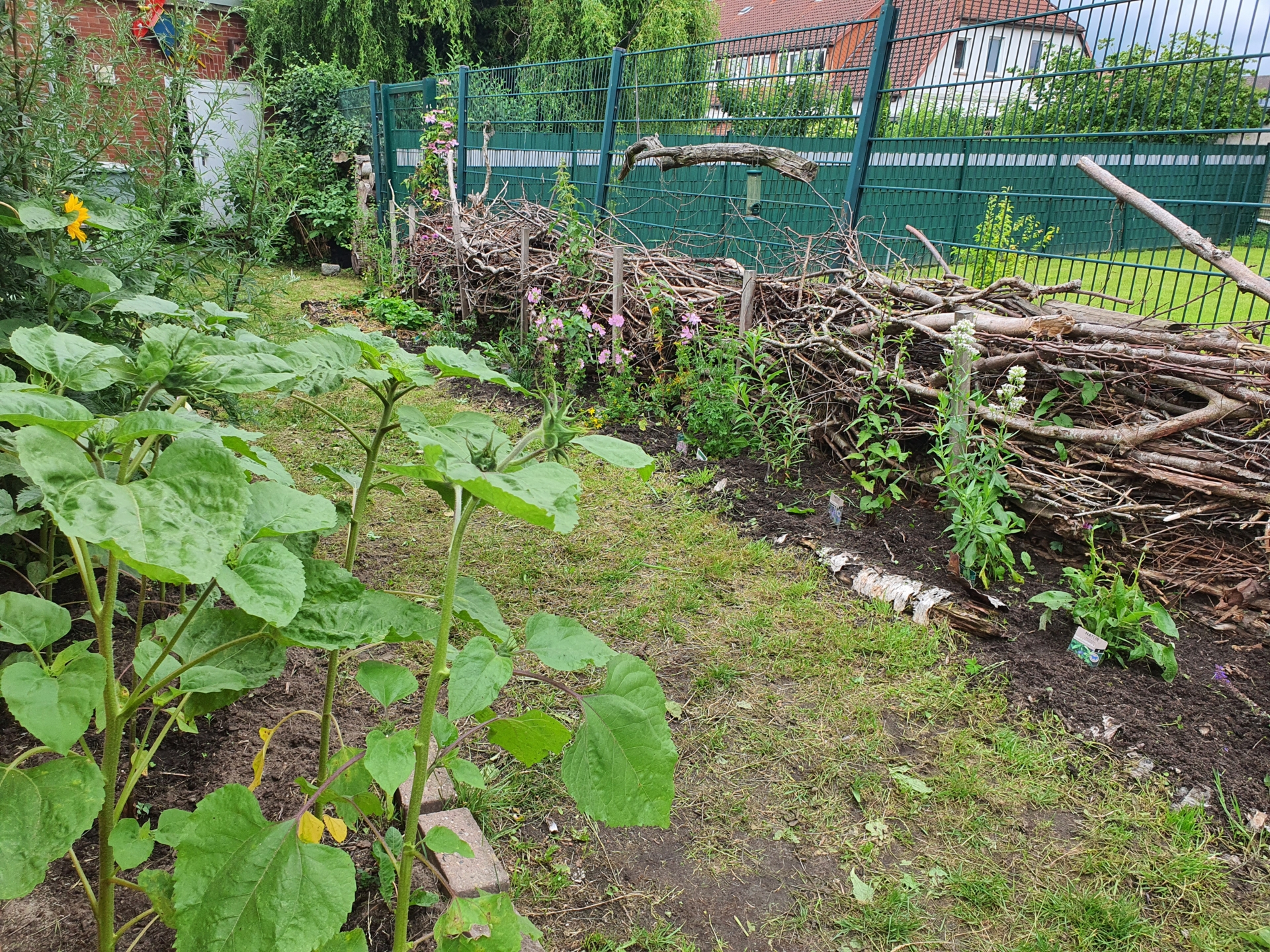 Staudenbeet