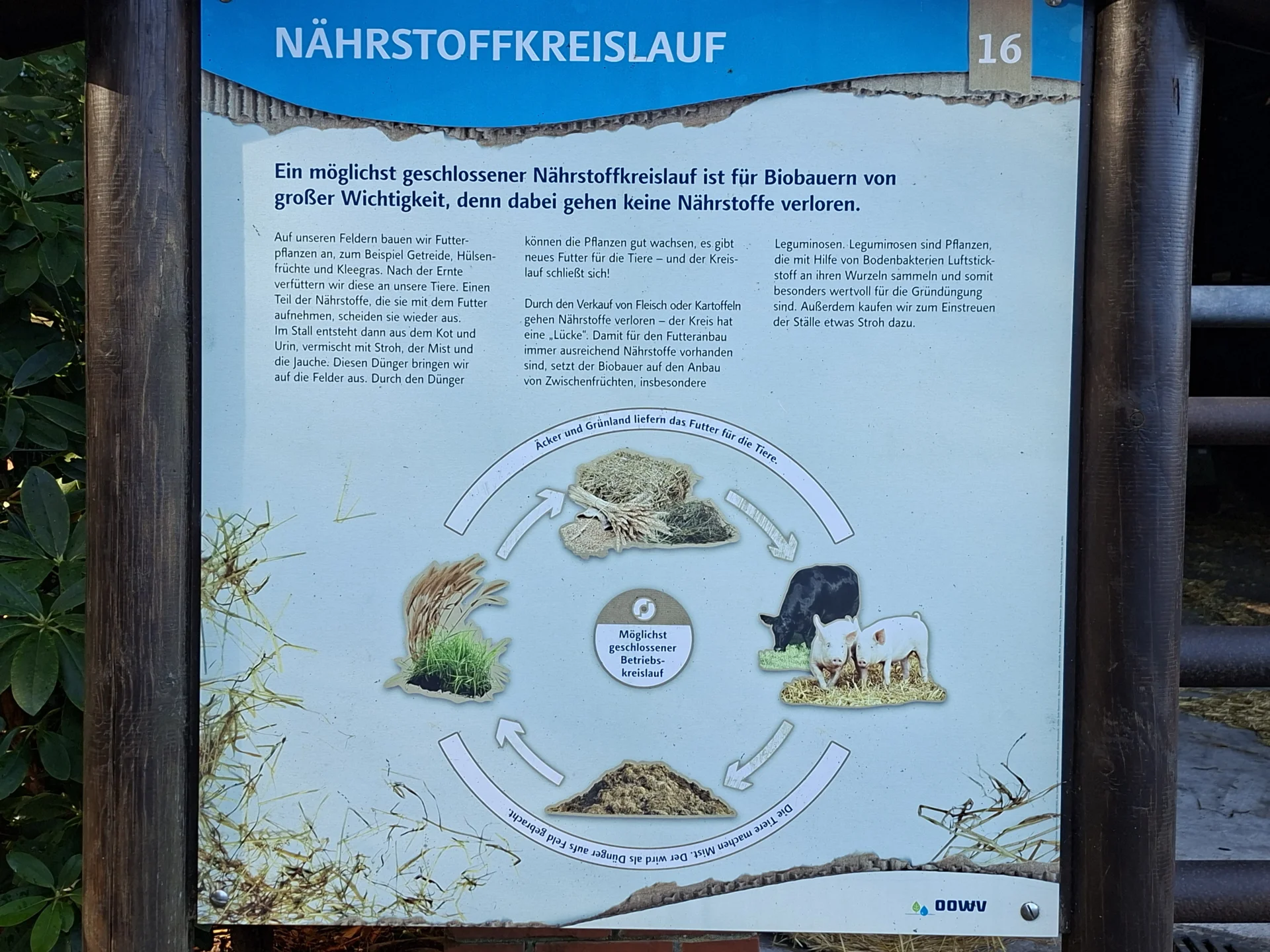 Nährst