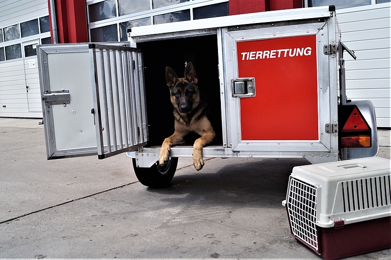 csm_TierrettungsanhaengerWebseite1_bf8949a844