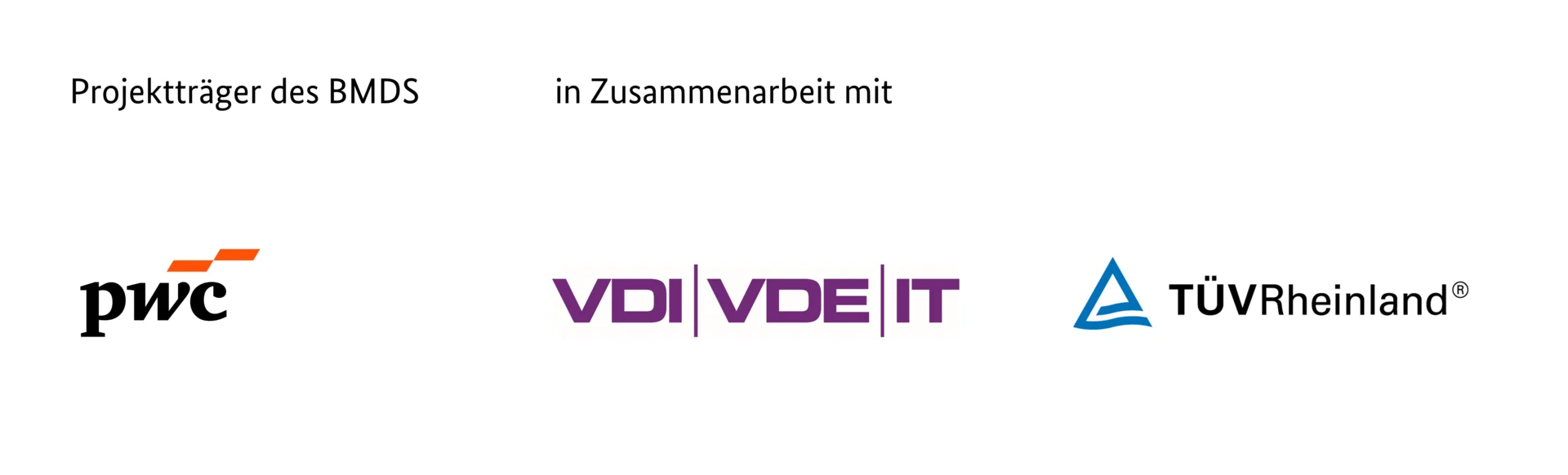 Logo Projektträger BMDS