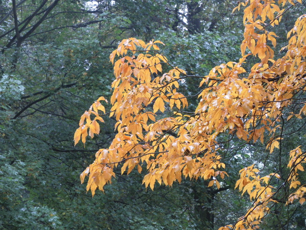 Impressionen