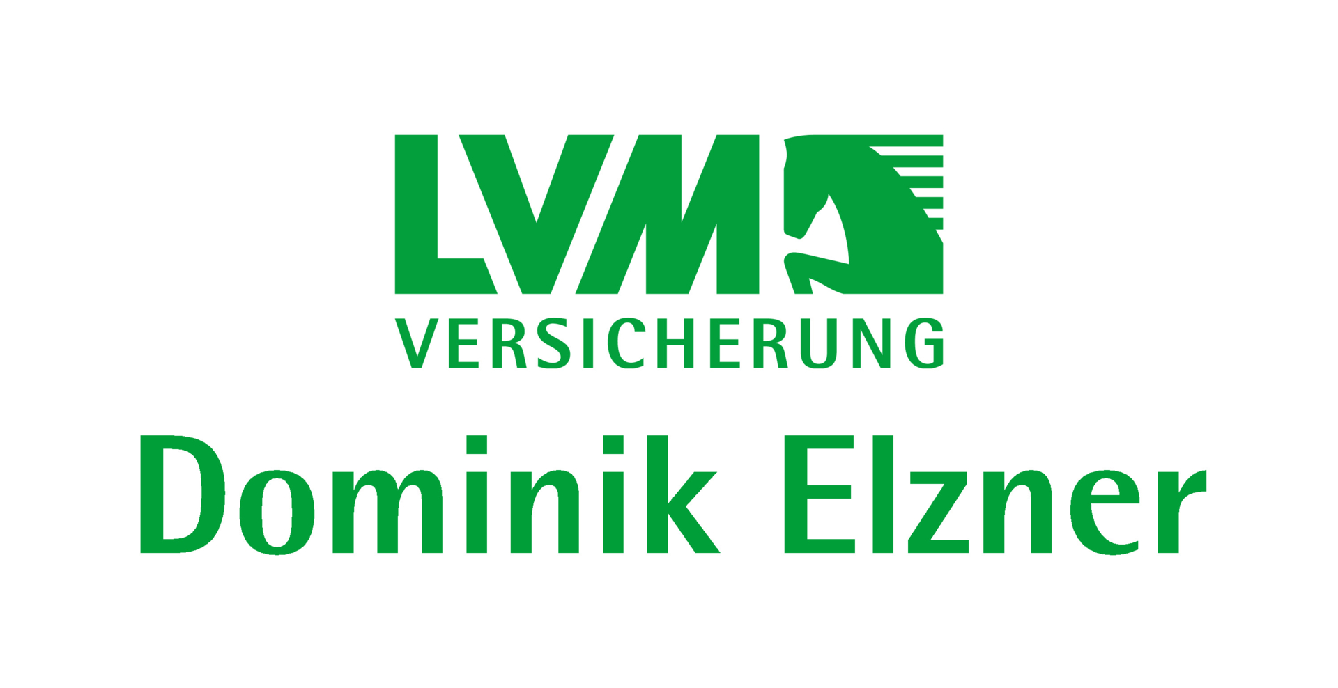 LVM - Dominik Elzner