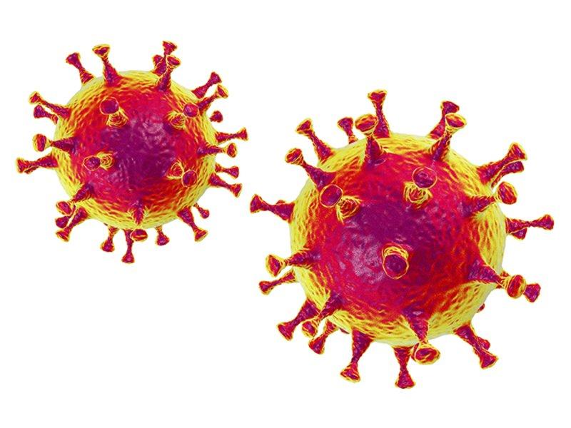 Virus