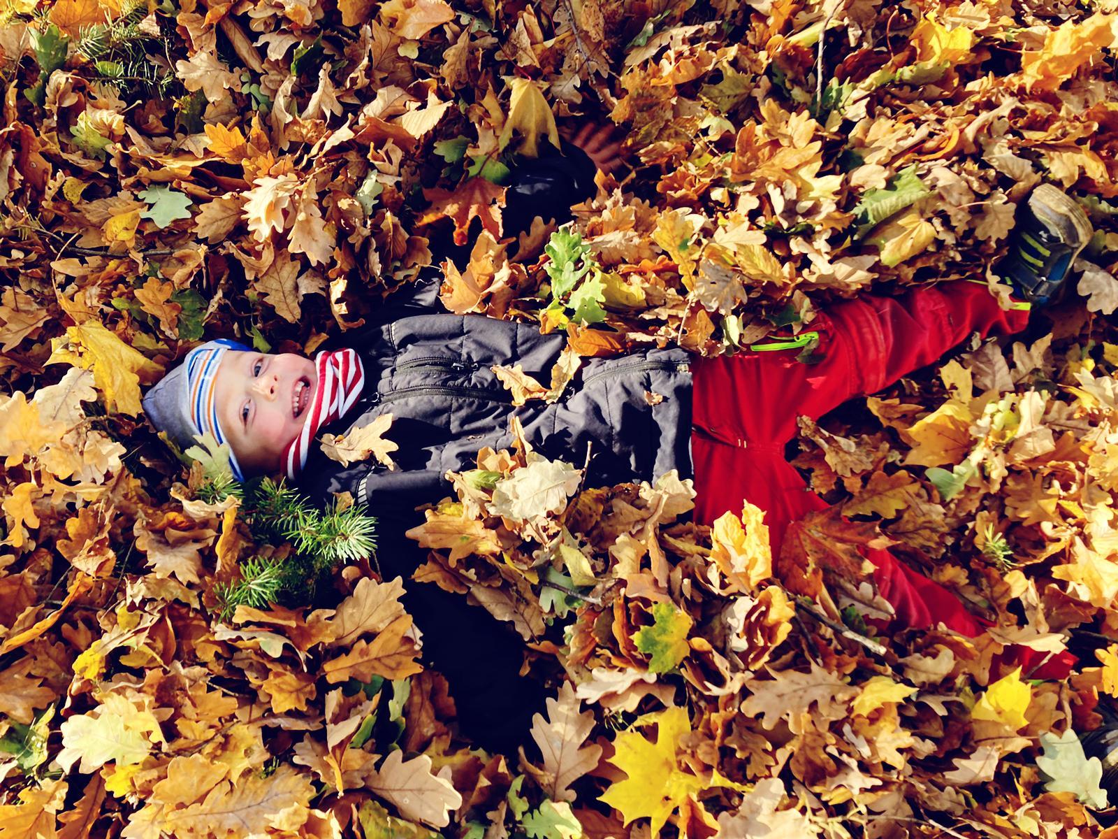Herbst3