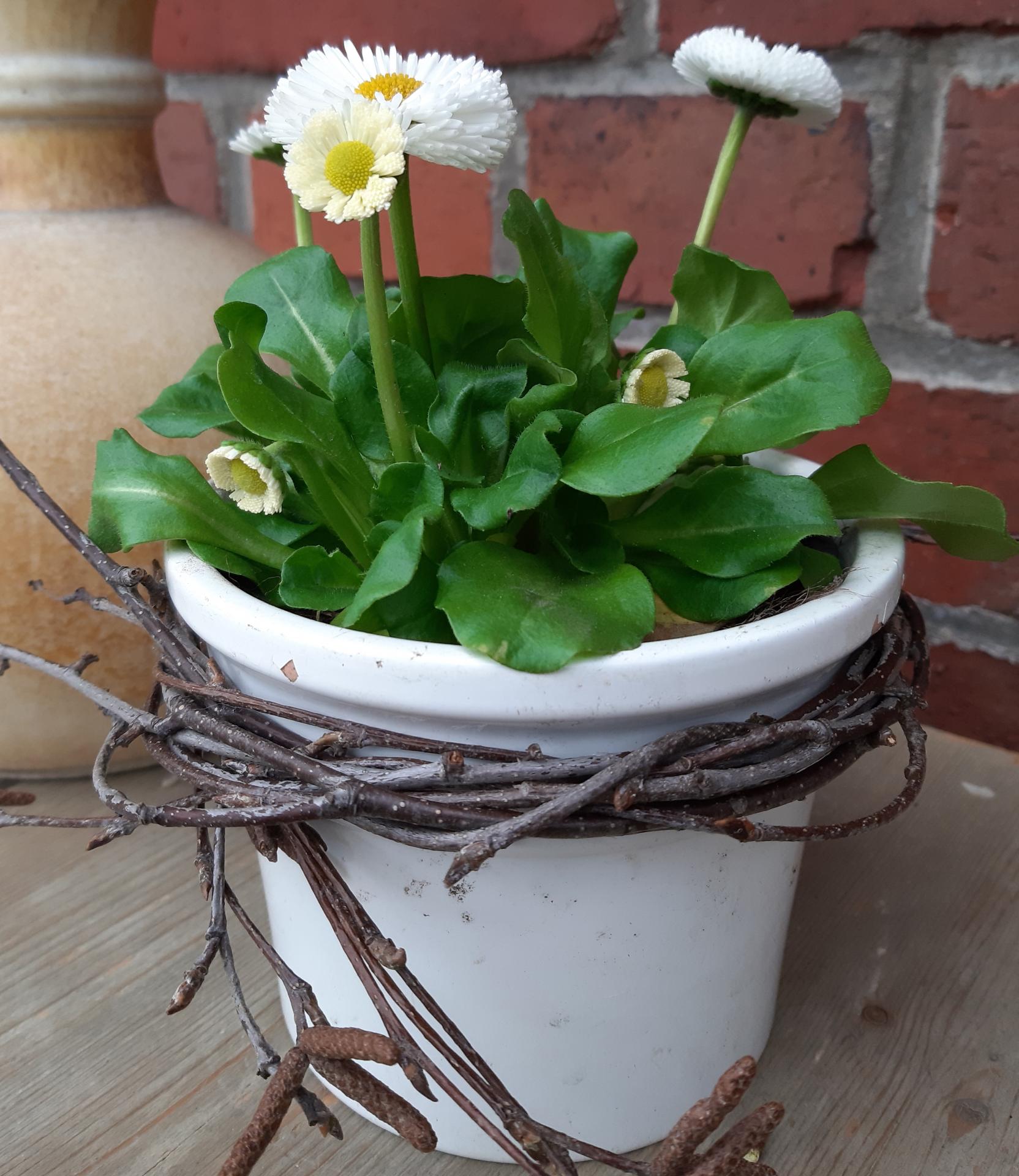 Frühling