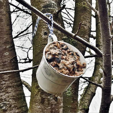 Vogelfutter in Tassen