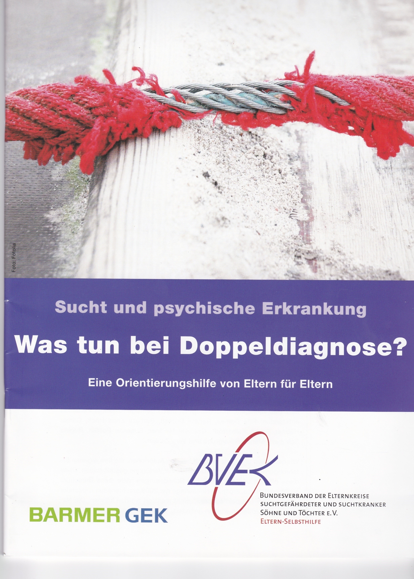 BVEK Doppeldiagnose