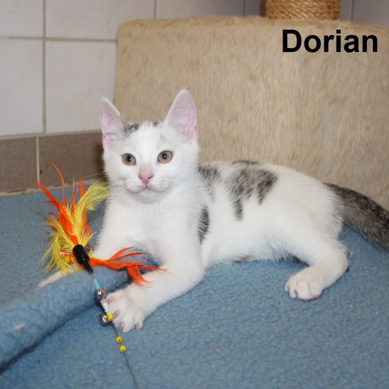 Dorian